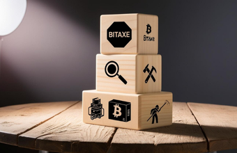 How Much Bitaxe Earns Daily