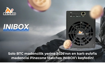 NerdQaxe++ Yerine Pinecone Matches INIBOX