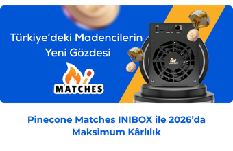 Pinecone Matches INIBOX (850Mh) İncelemesi