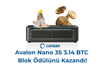 Avalon Nano 3S BTC Blok Ödülünü Kazandı!