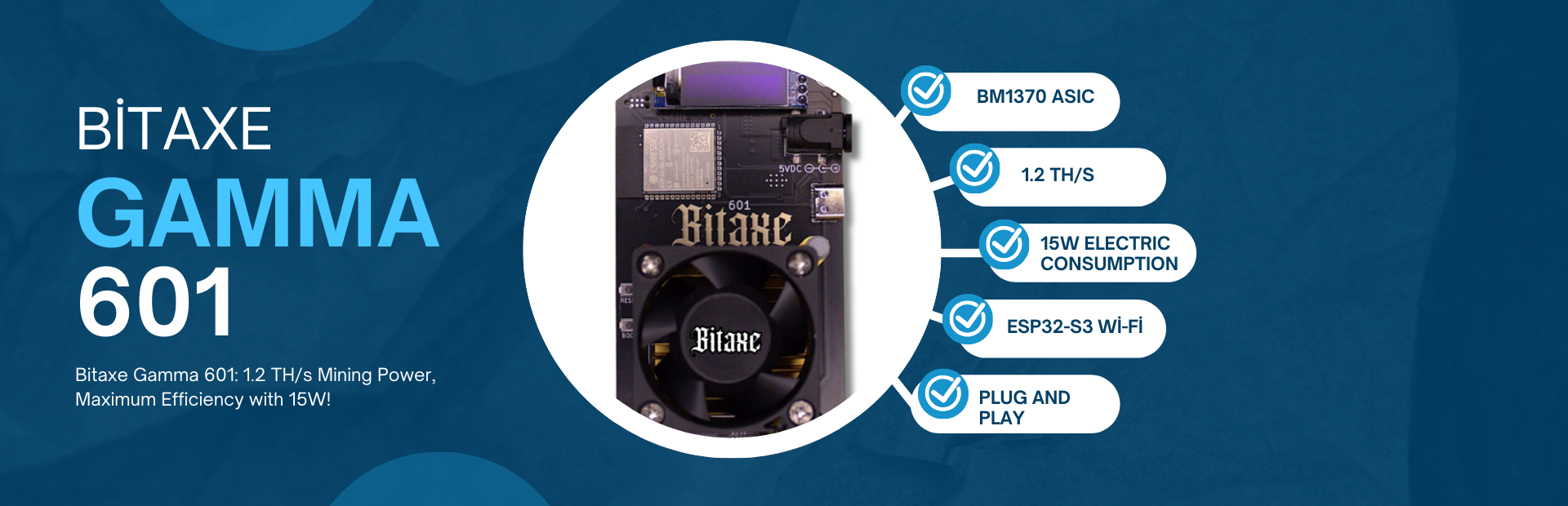 Bitaxe GAMMA 601