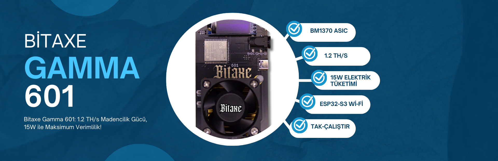 Bitaxe GAMMA 601
