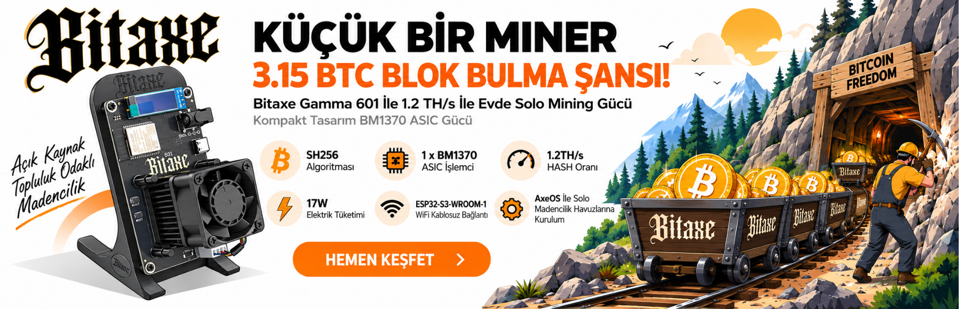 Bitaxe GAMMA 601